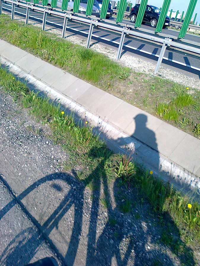 Jest mój niewierny towarzysz