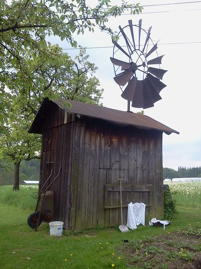 Młynek wiatrowy