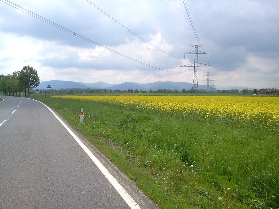 Beskidy i rzepak