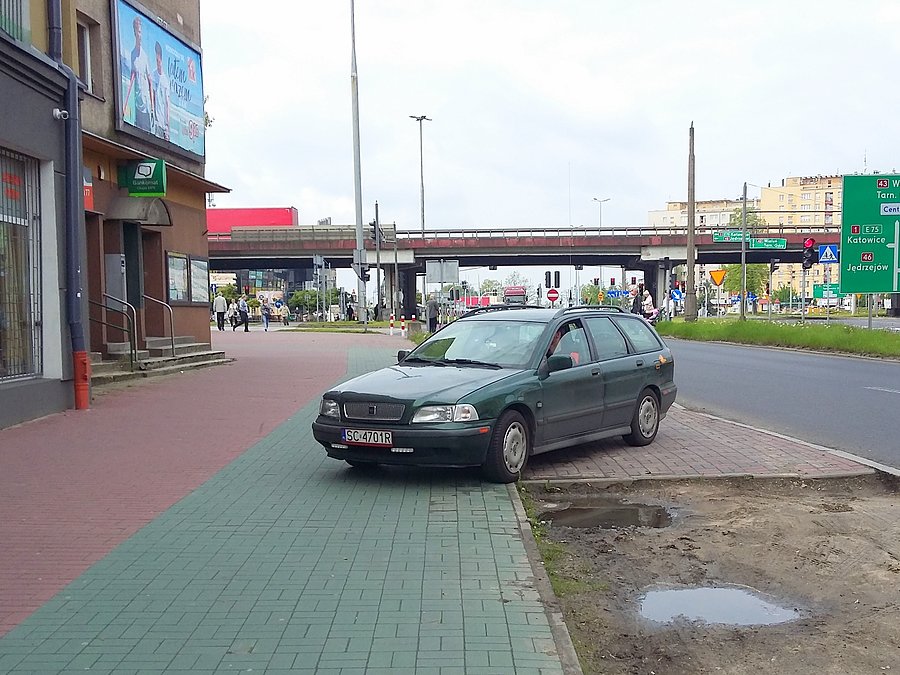 Baran na drodze rowerowej