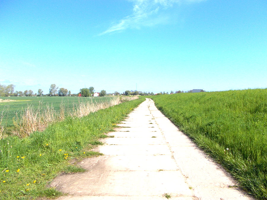 Stukot starych płyt