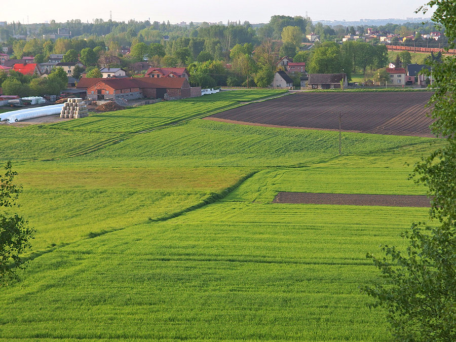 Widok z Kępy Bagieniokowej