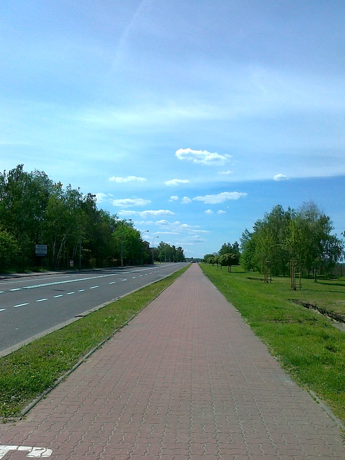 Piękny słoneczny dzień