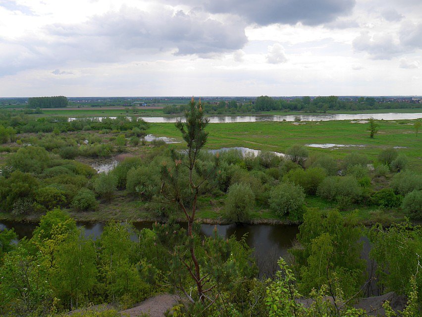 Wisła i starorzecze