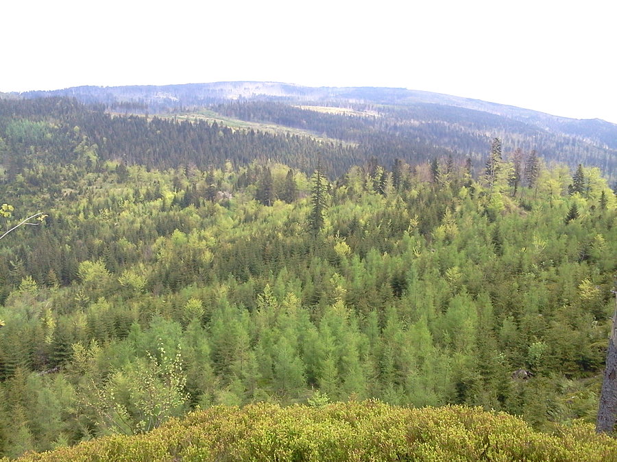 Barania Góra