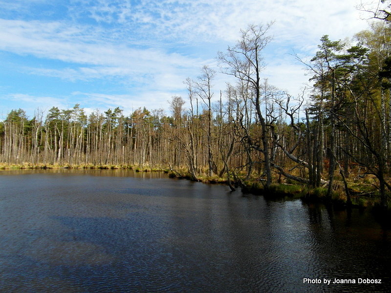 Słowiński Park Narodowy