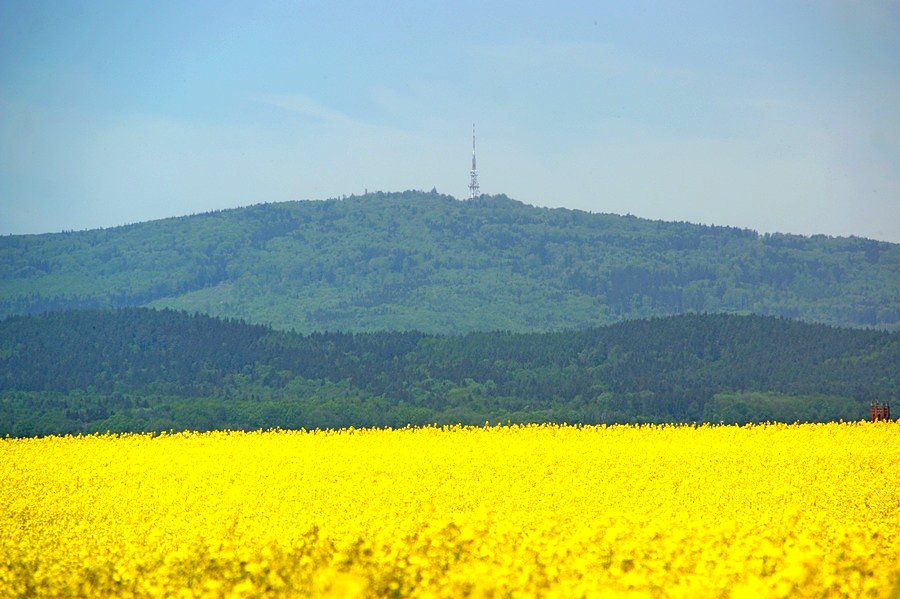 Widok na Ślężę niedaleko Oleszna