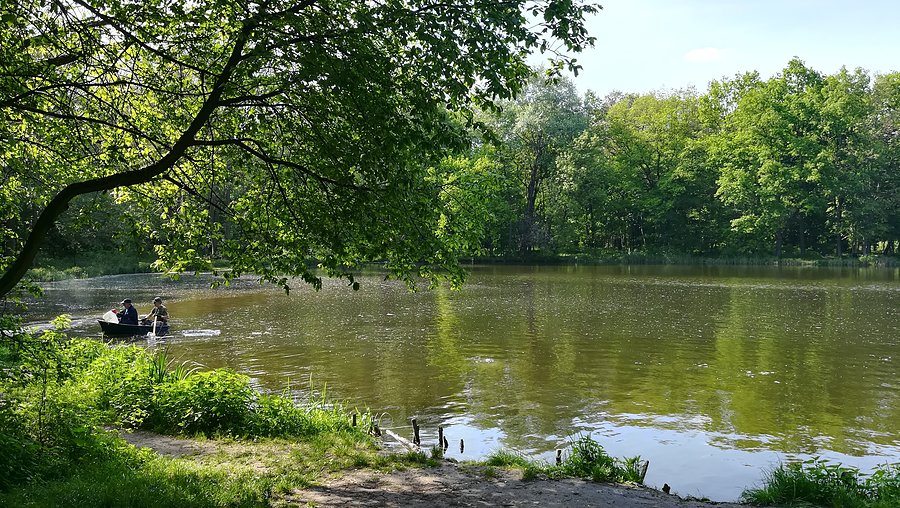 Na Dębinie
