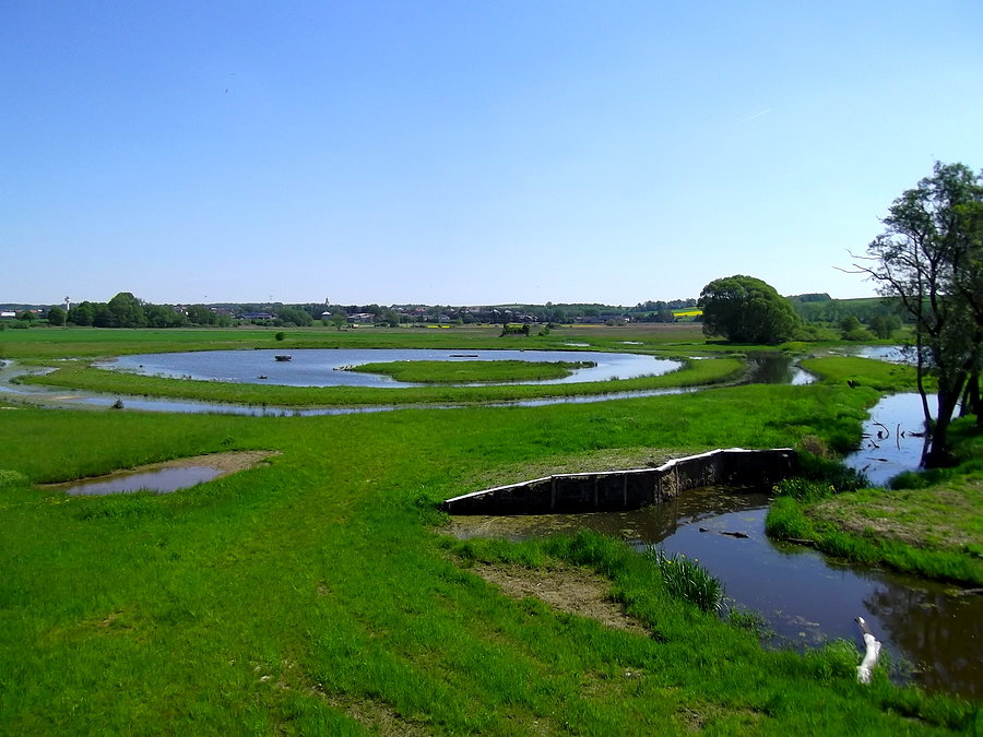 Jilešovice, widok z wieży widokowej