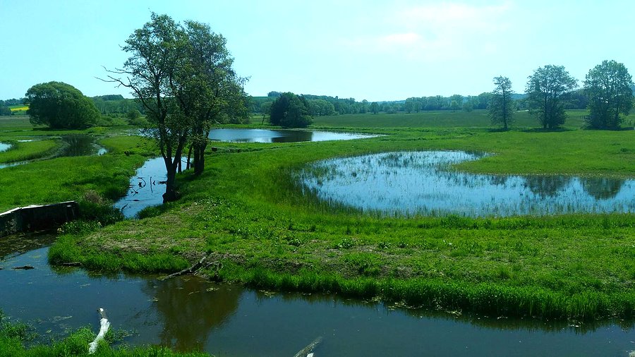 Jilešovice wieża widokowa