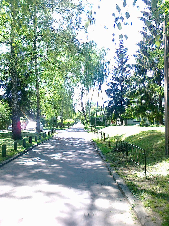 Słoneczny ciepły dzień