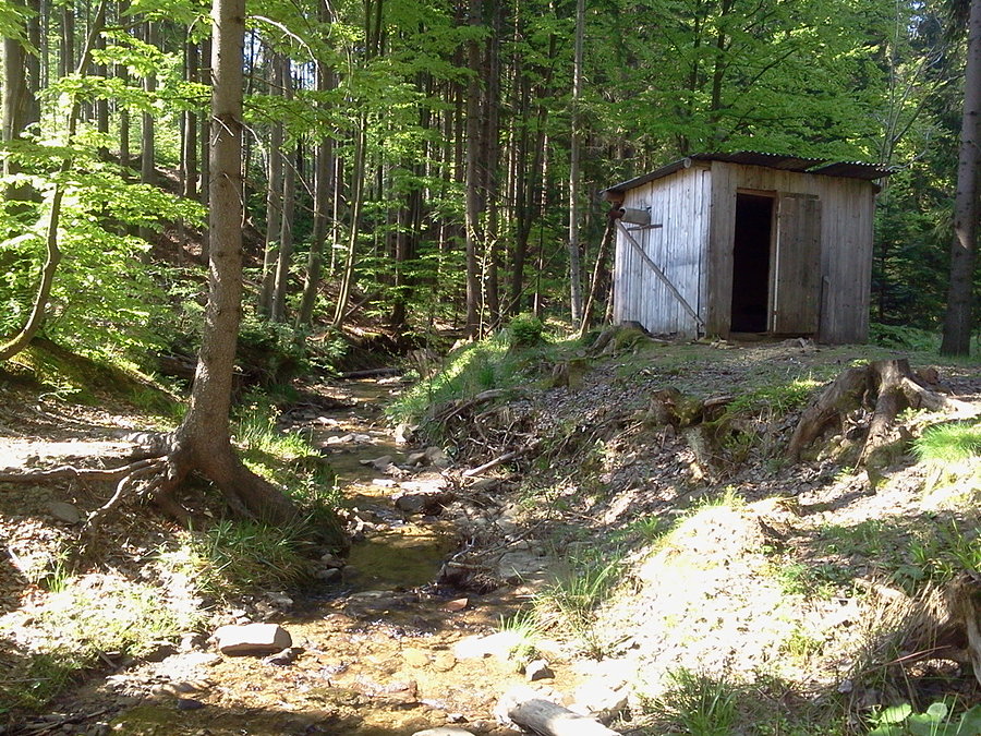 Drewutnia nad Olzą