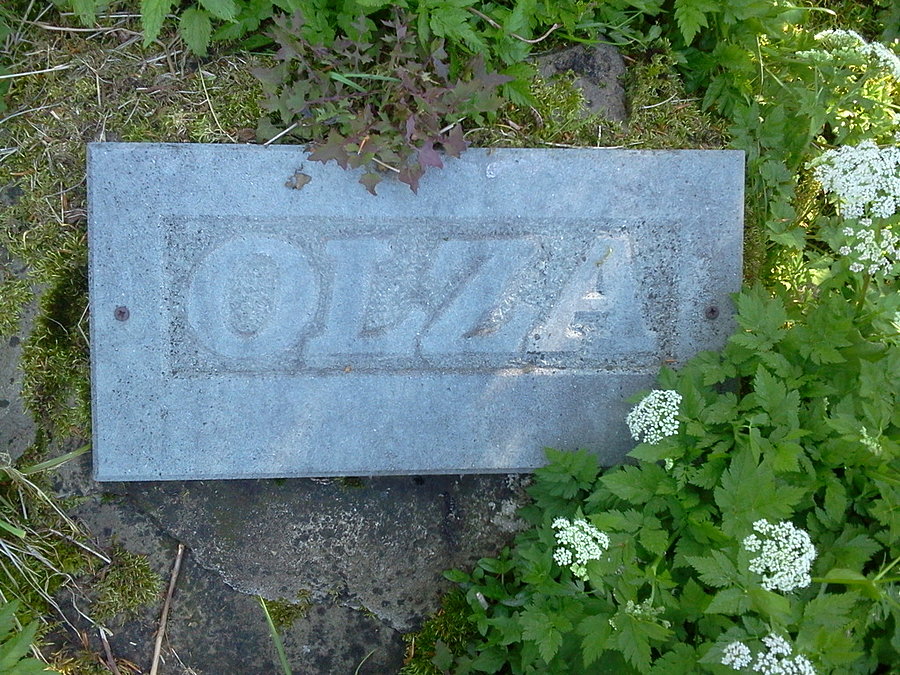 Źródło Olzy