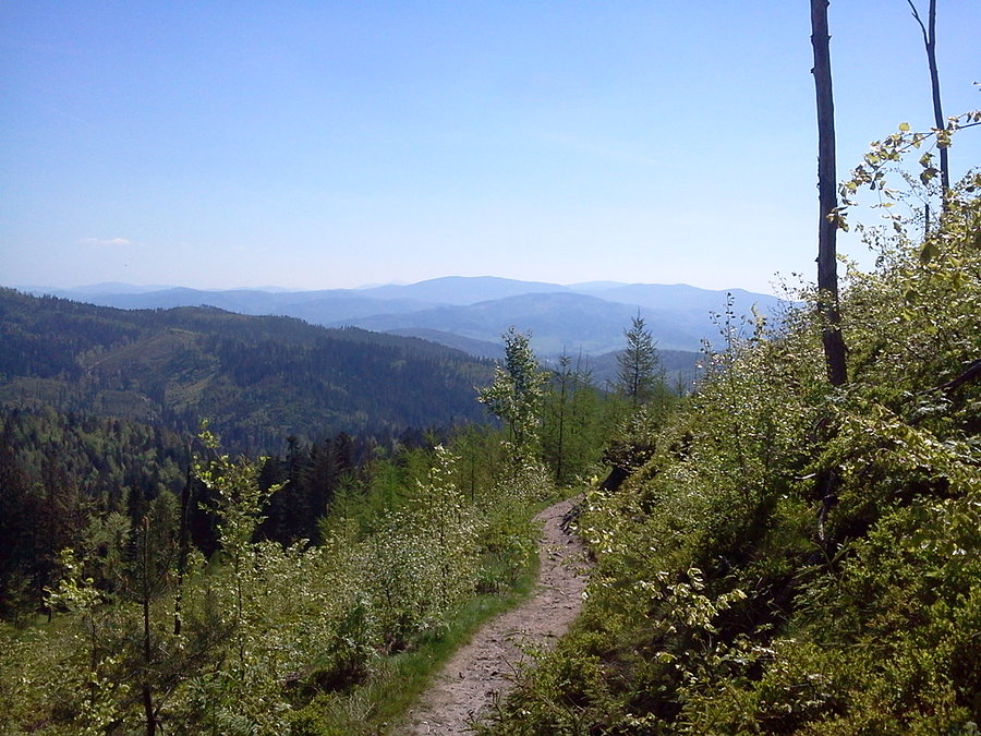 Widok na Beskid Żywiecki