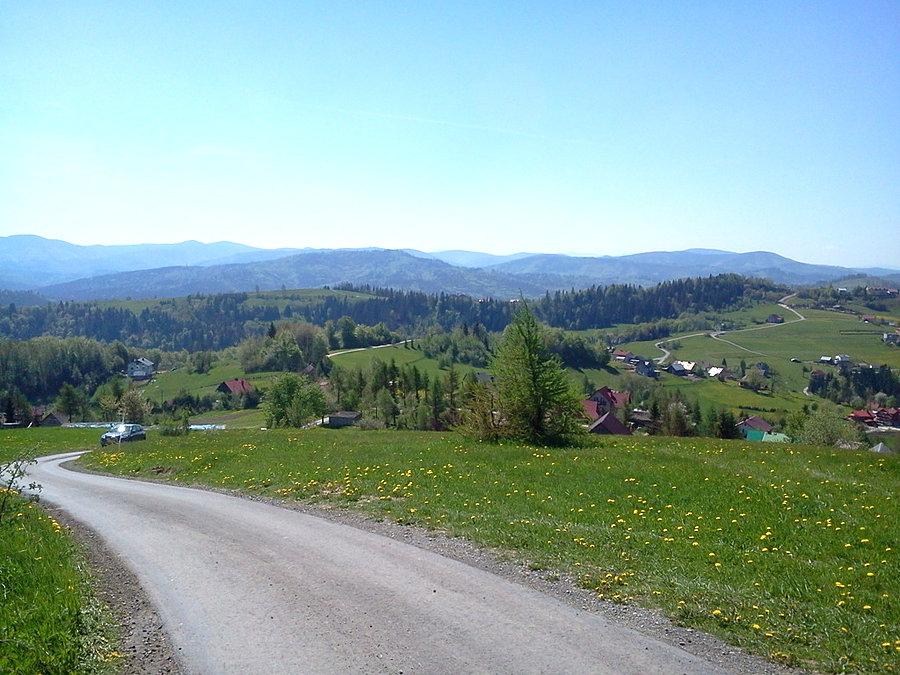 Z Tynioka