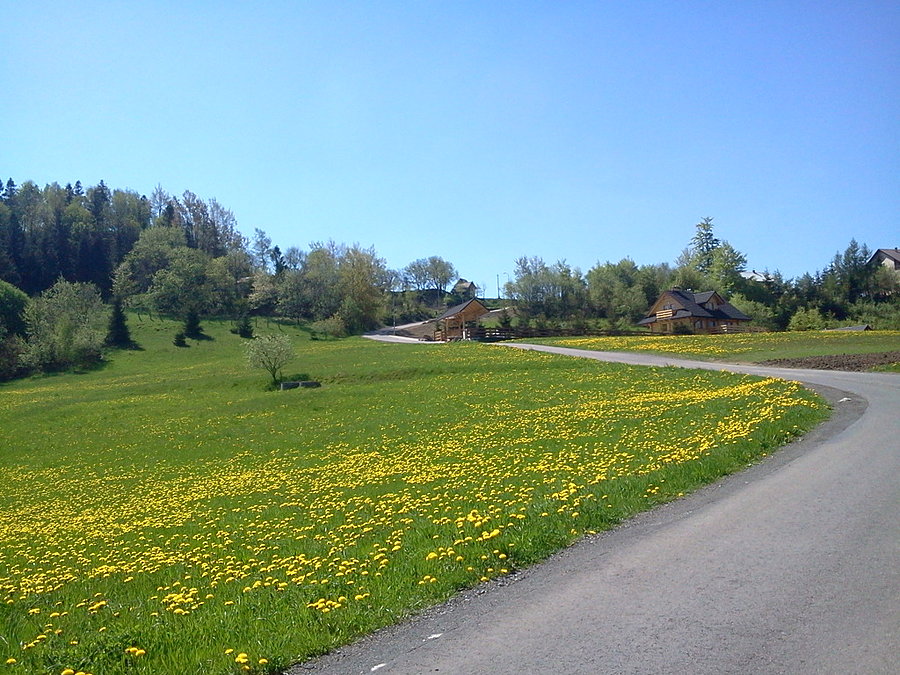 Podjazd pod Koczy Zamek