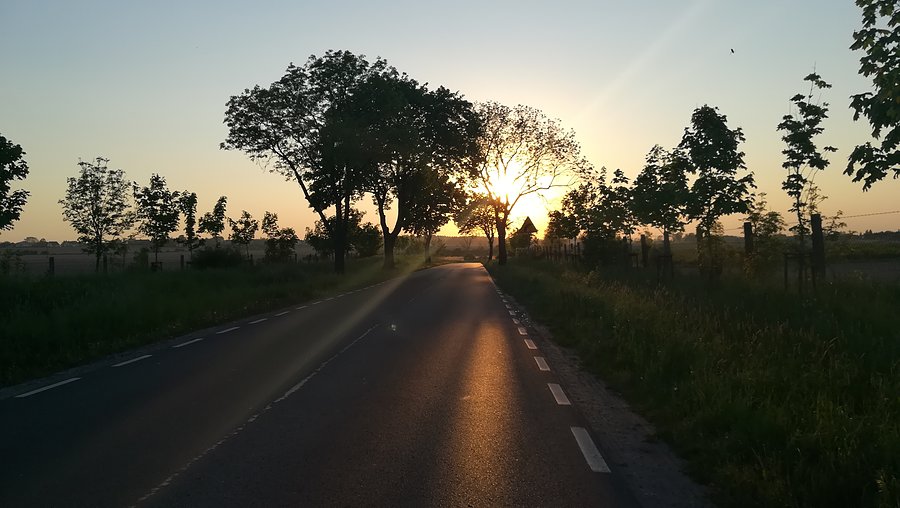 Powrót do domu - Szreniawa