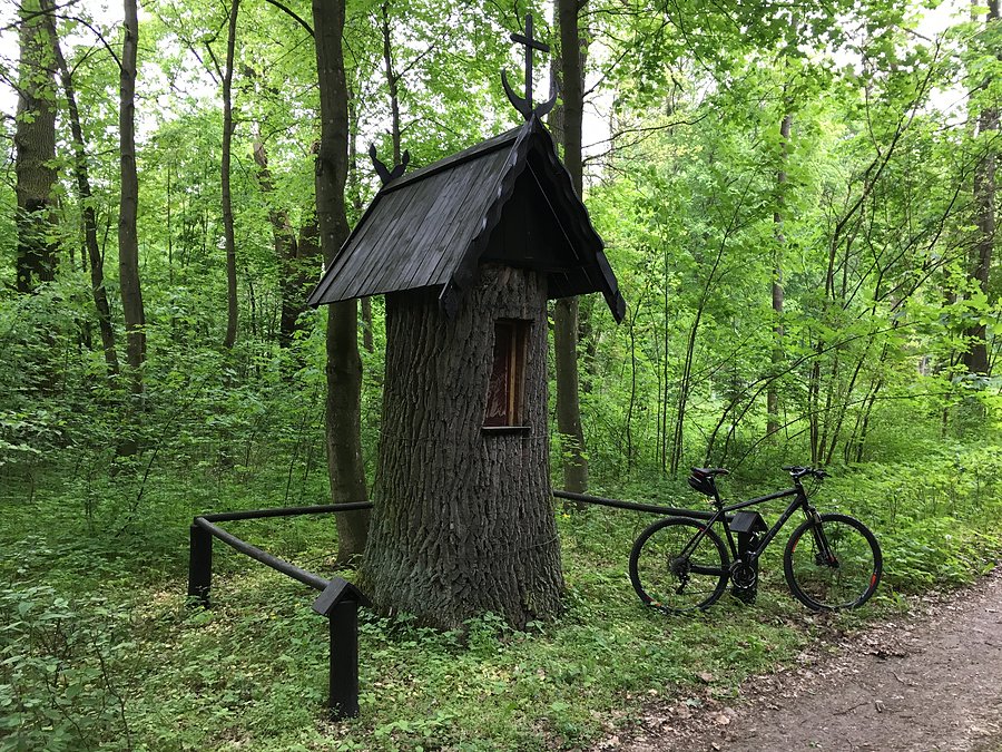 Kapliczka na terenie Nadleśnictwa Krucz