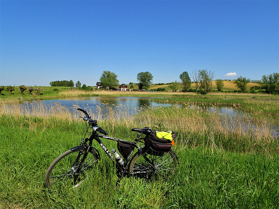 Wycieczka nad jezioro-Borówno