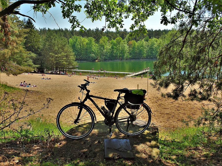 Wycieczka nad jezioro-Borówno