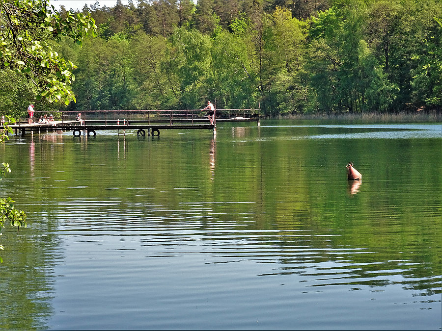 Wycieczka nad jezioro-Borówno