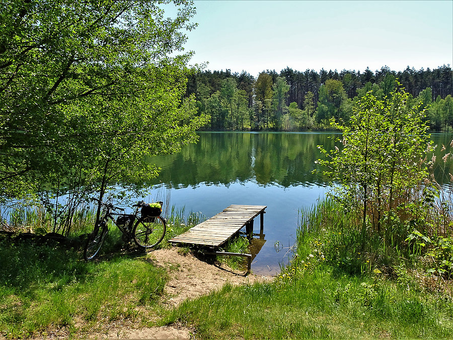 Wycieczka nad jezioro-Borówno