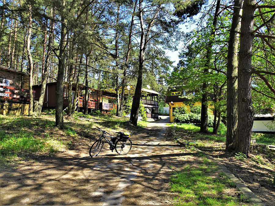 Wycieczka nad jezioro-Borówno