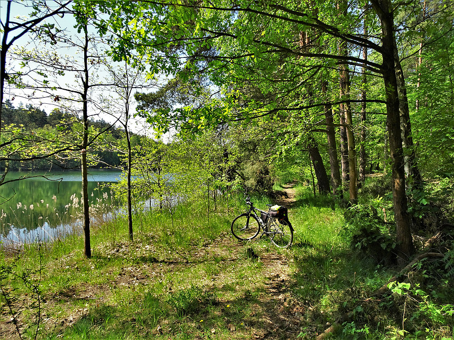 Wycieczka nad jezioro-Borówno