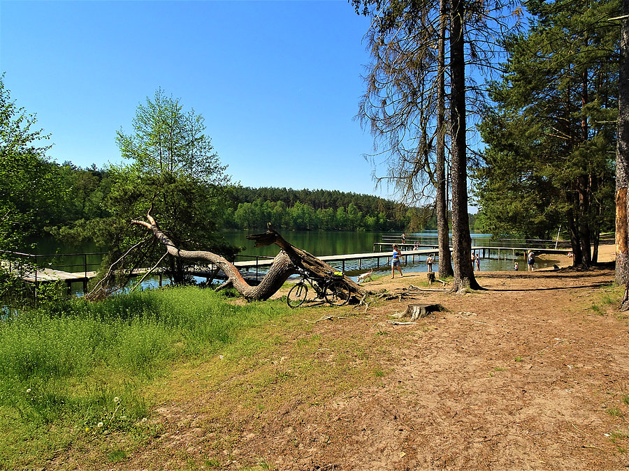 Wycieczka nad jezioro-Borówno
