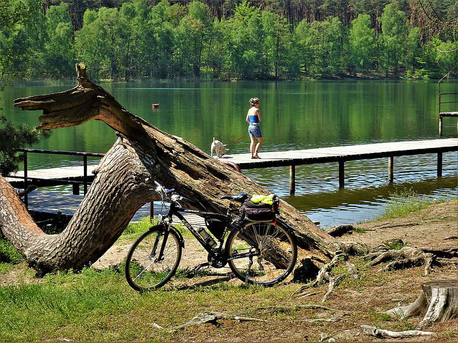 Wycieczka nad jezioro-Borówno