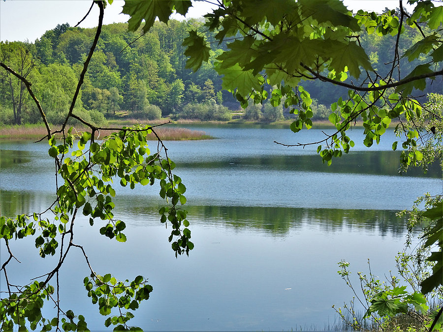 Wycieczka nad jezioro-Borówno