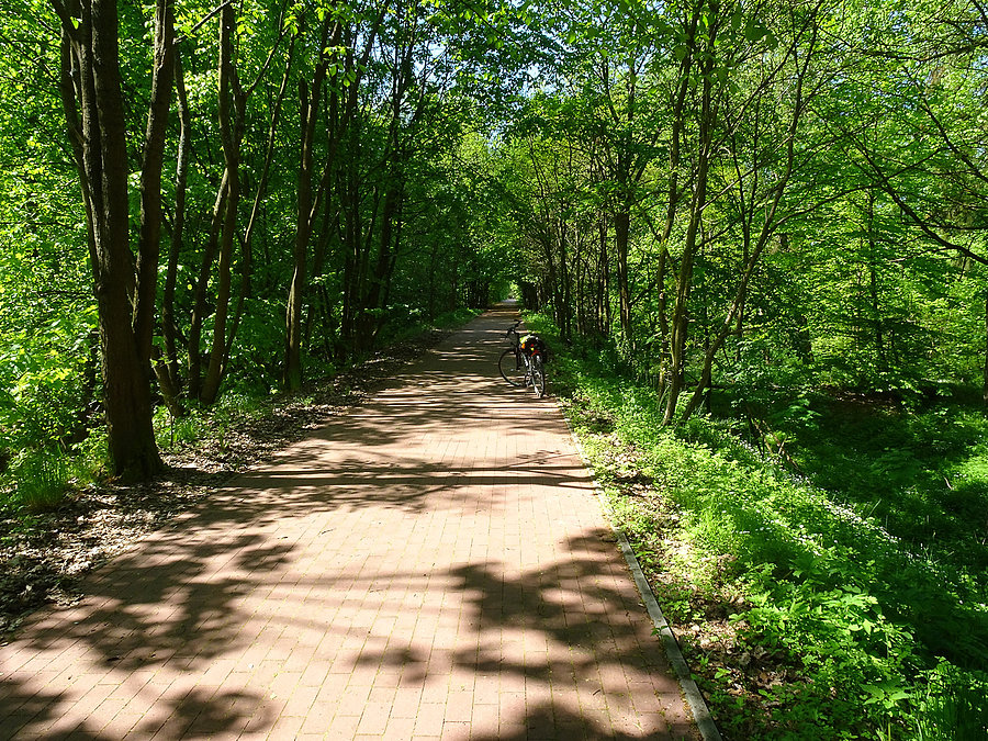 Wycieczka nad jezioro-Borówno