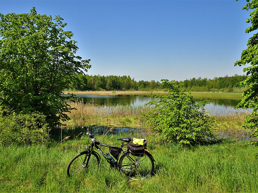 Wycieczka nad jezioro-Borówno