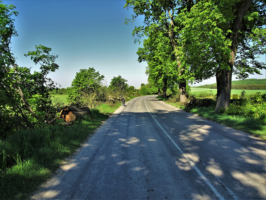 Wycieczka nad jezioro-Borówno