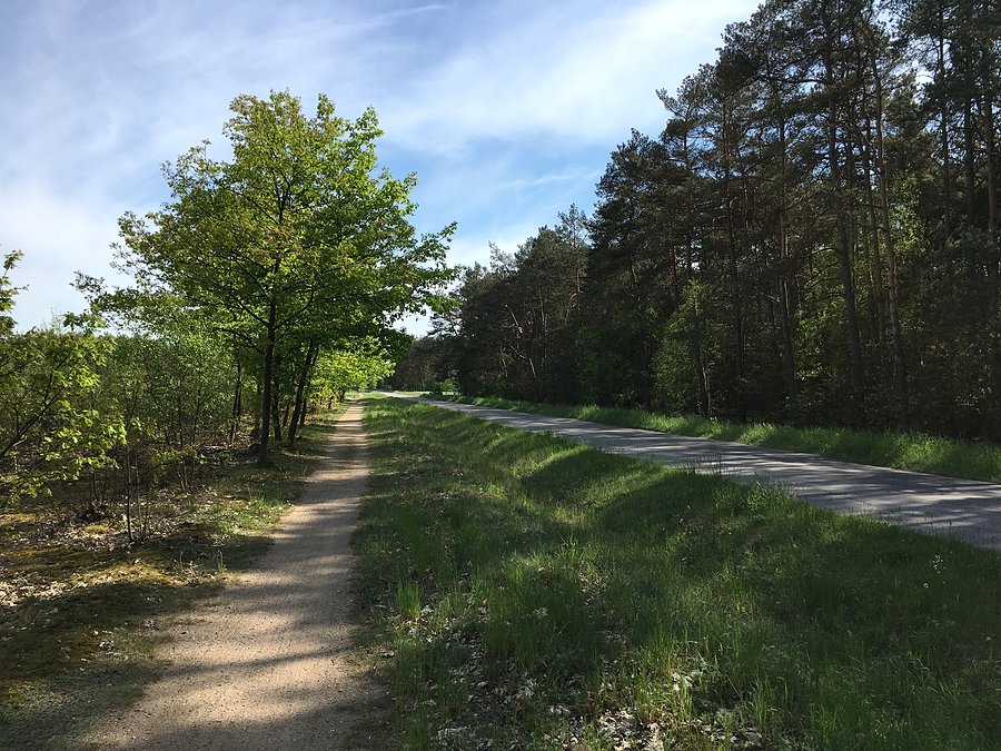Droga rowerowa między Drawskim Młynem a Pęckowem