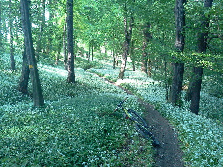 Trasa w Marklowicach