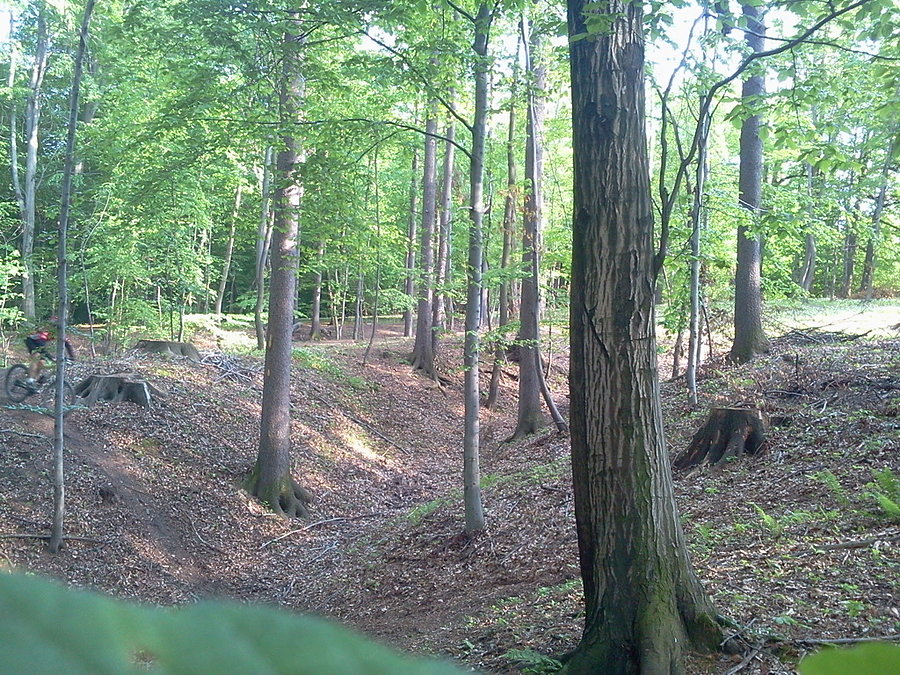 Trasa