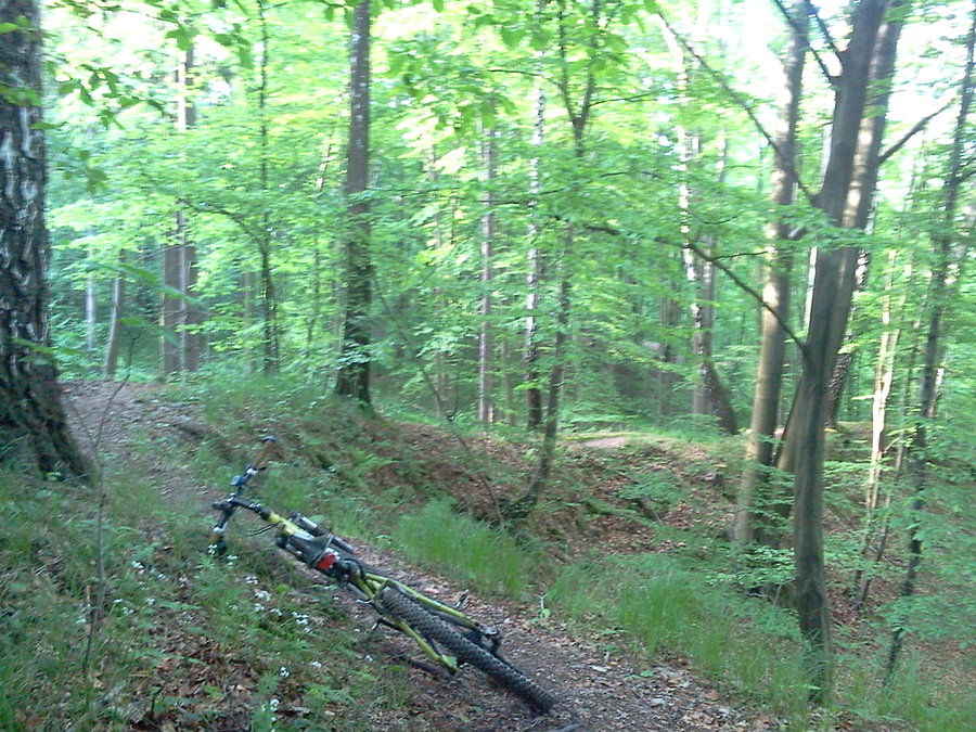 Trasa