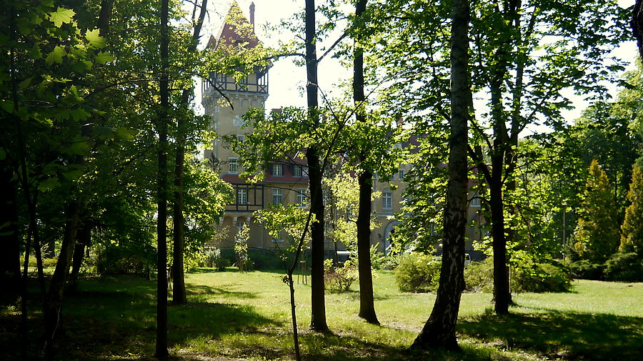 Pałacyk w Rogach, zza płota