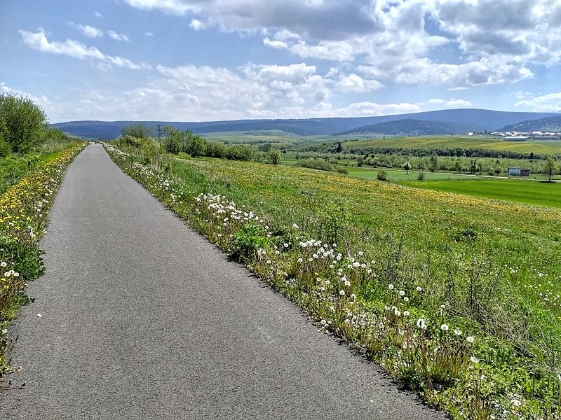 Kilkanaście km idealnego asfaltu, przyroda i góry