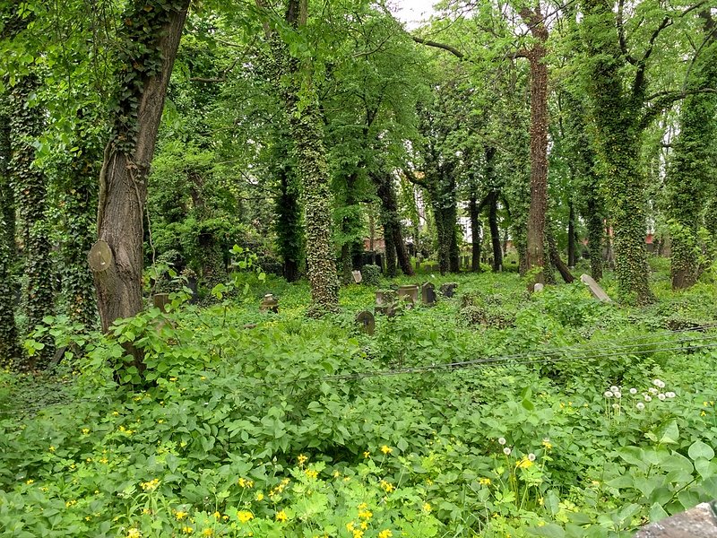 Katowicki Kirkut