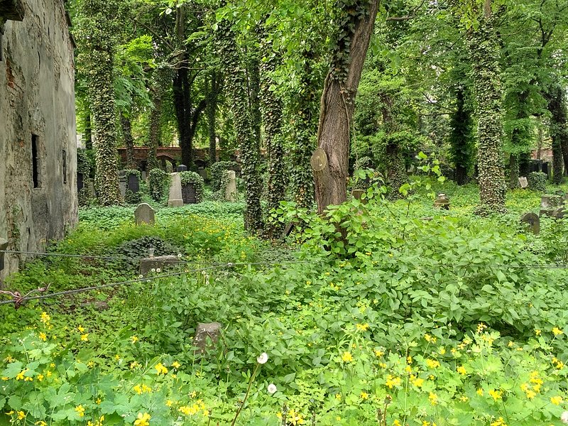 Zarośnięty i chyba mało dostępny