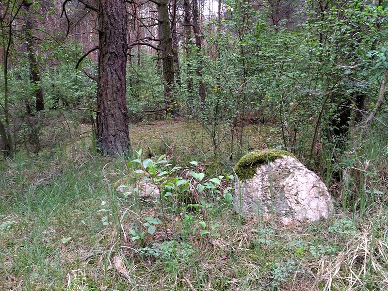 Resztki kirkutu w okolicach Wolborza