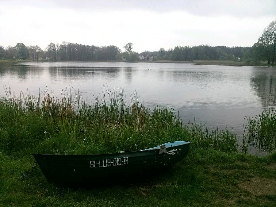 Zielona