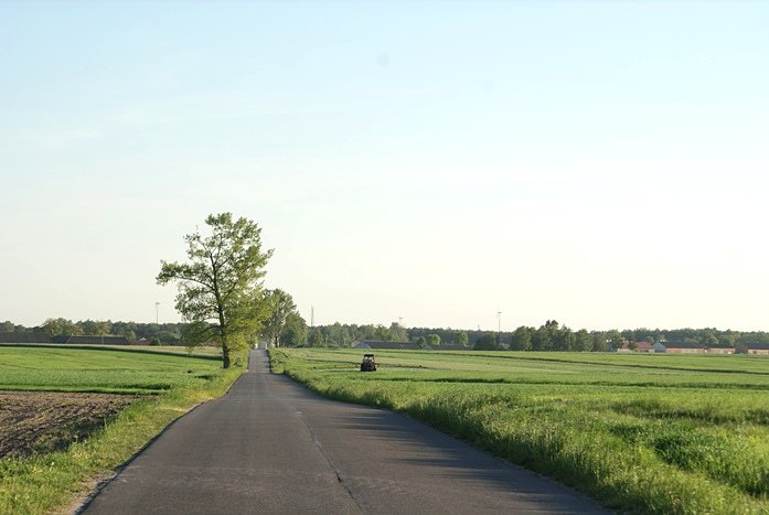Między polami