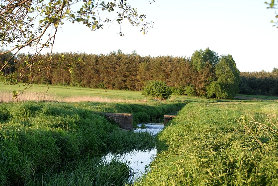 Nad rzeką Czarną