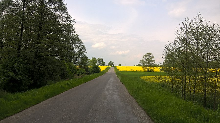 Piękne widoczki