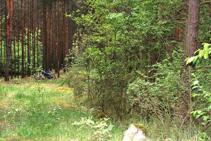 Po prawej stronie kamienia - kwatera byłego kirkutu w Wolborzu