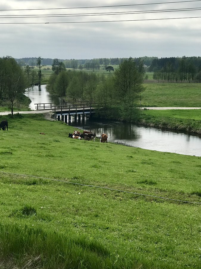Cóż za widoki pod Odrami
