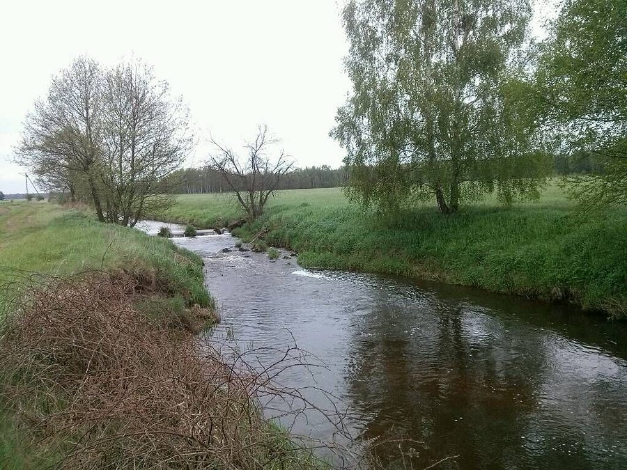 Liswarta